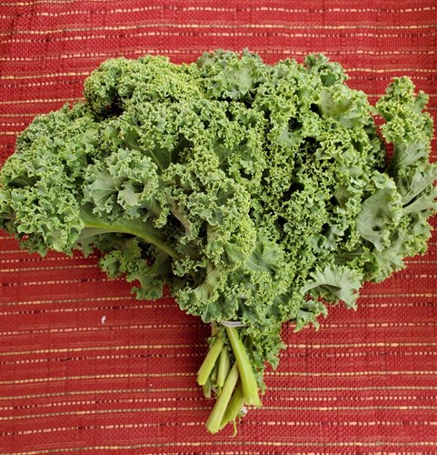 Kale-Curly Green