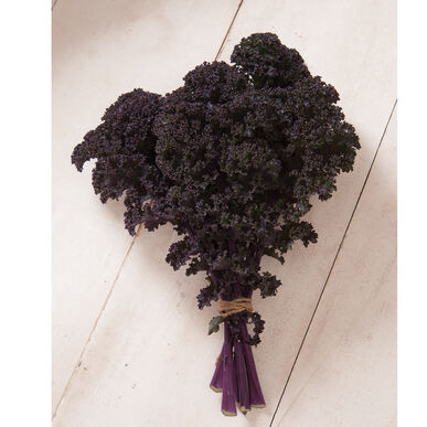Kale-Curly Red